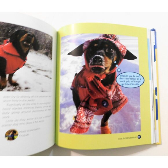 Crusoe Adventures Of The Wiener Dog Extraordinaire Ryan Beauchesne 2015 1st EdHB - Picture 6 of 7